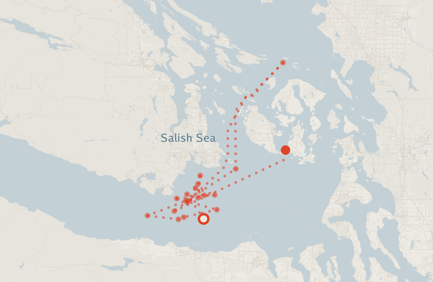 Activity map — real sighting points on an OpenStreetMap basemap