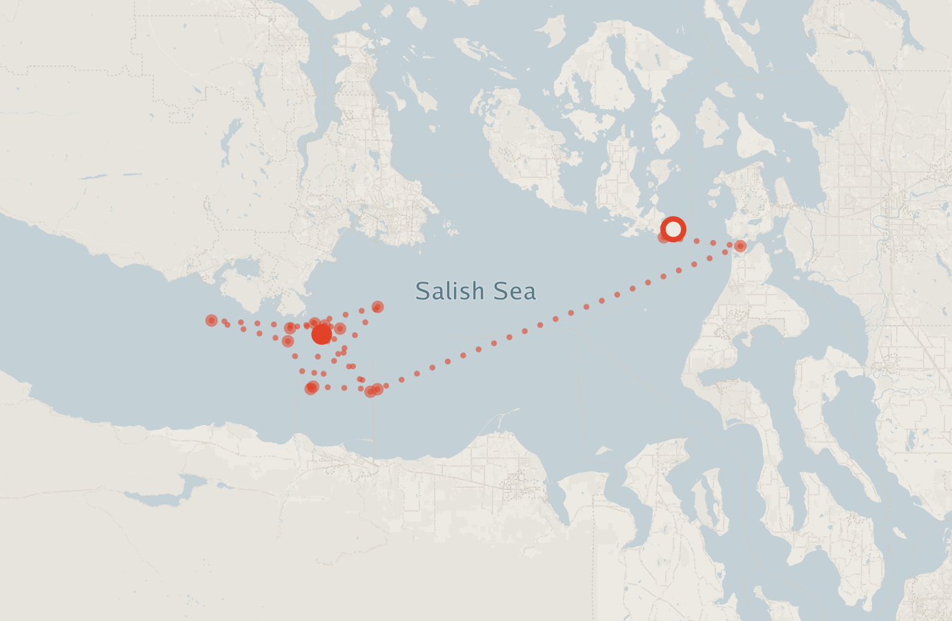 Activity map — real sighting points on an OpenStreetMap basemap