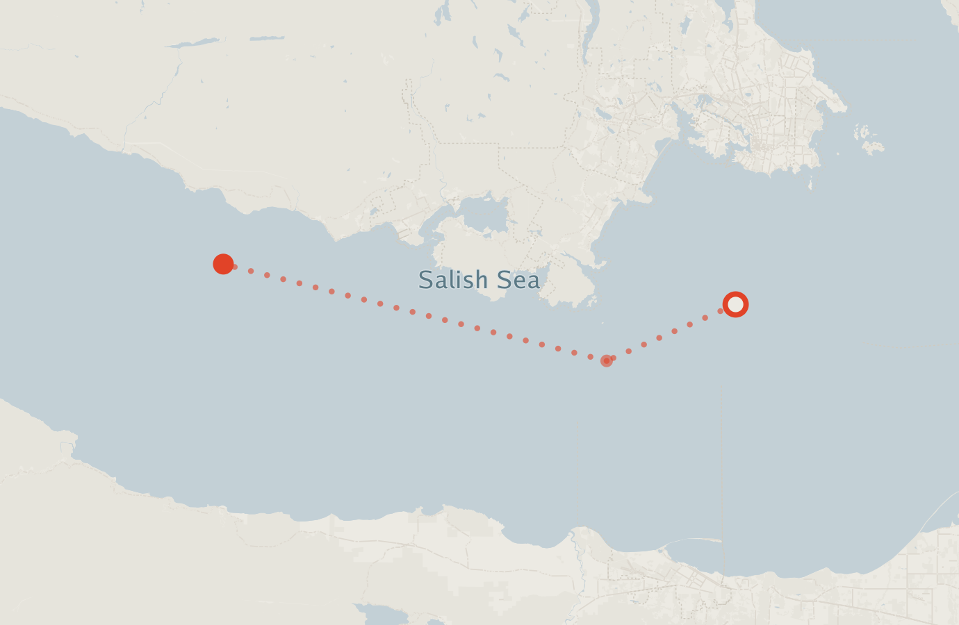 Activity map — real sighting points on an OpenStreetMap basemap