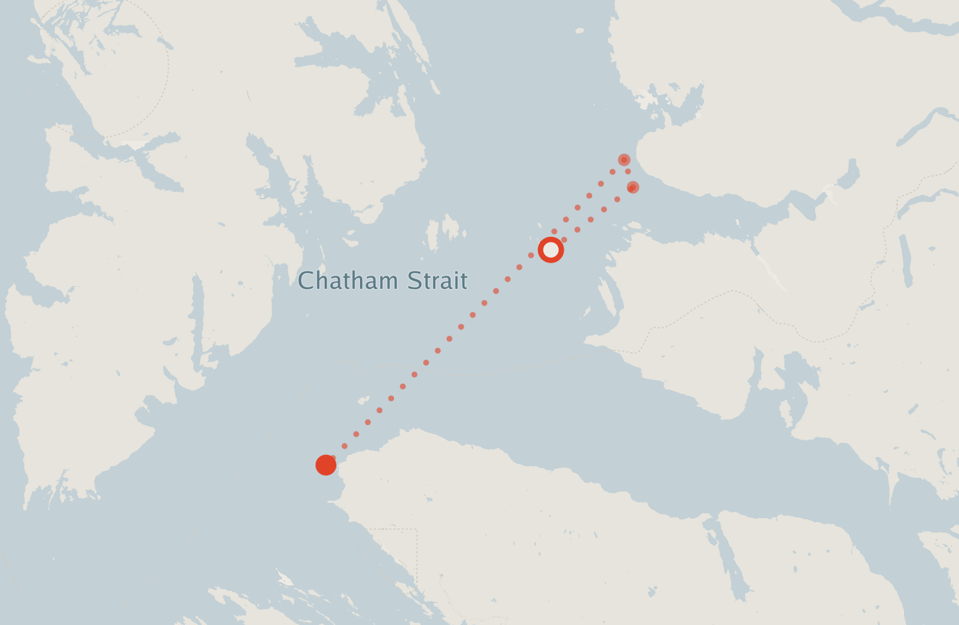 Activity map — real sighting points on an OpenStreetMap basemap