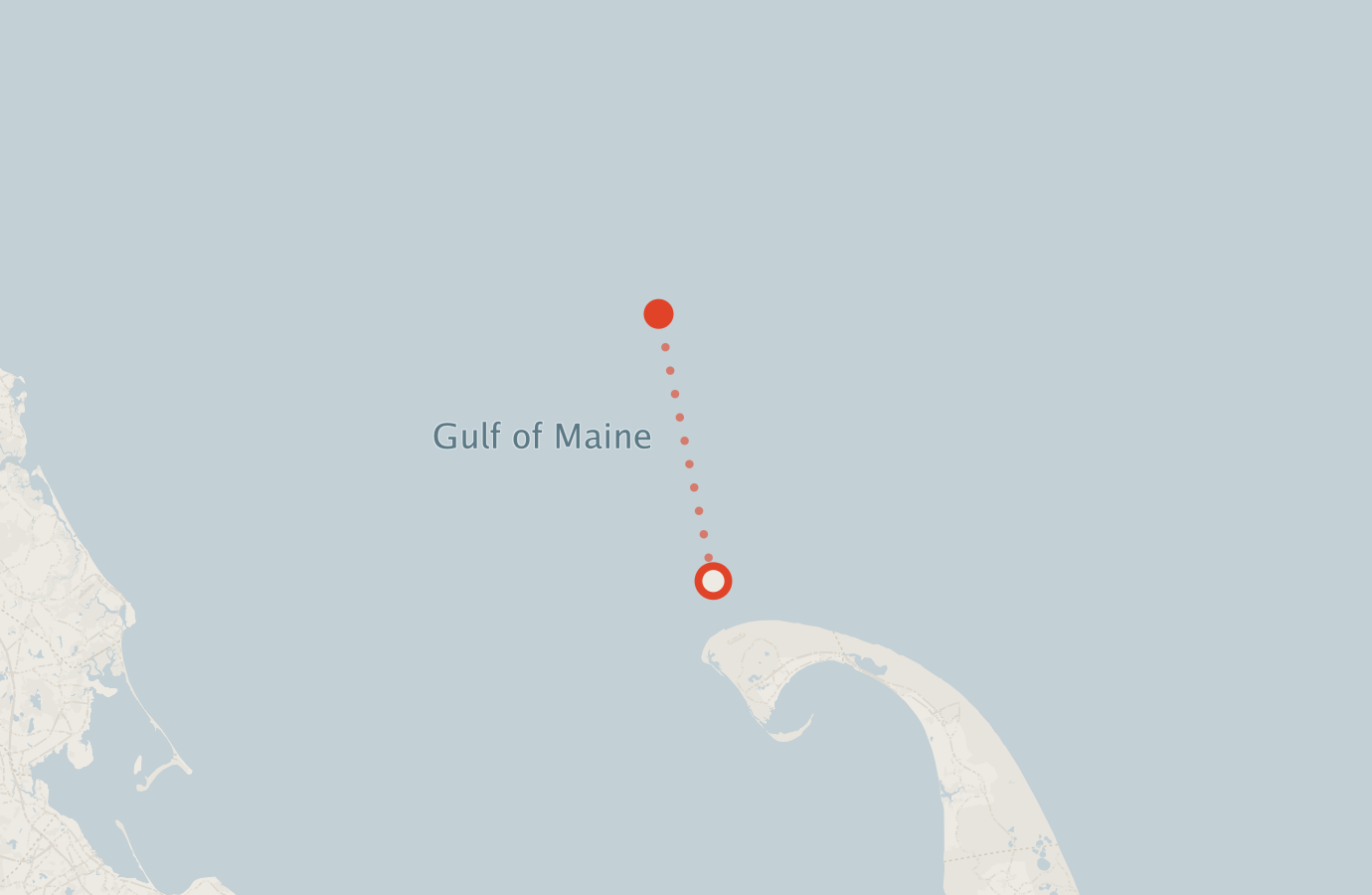 Activity map — real sighting points on an OpenStreetMap basemap