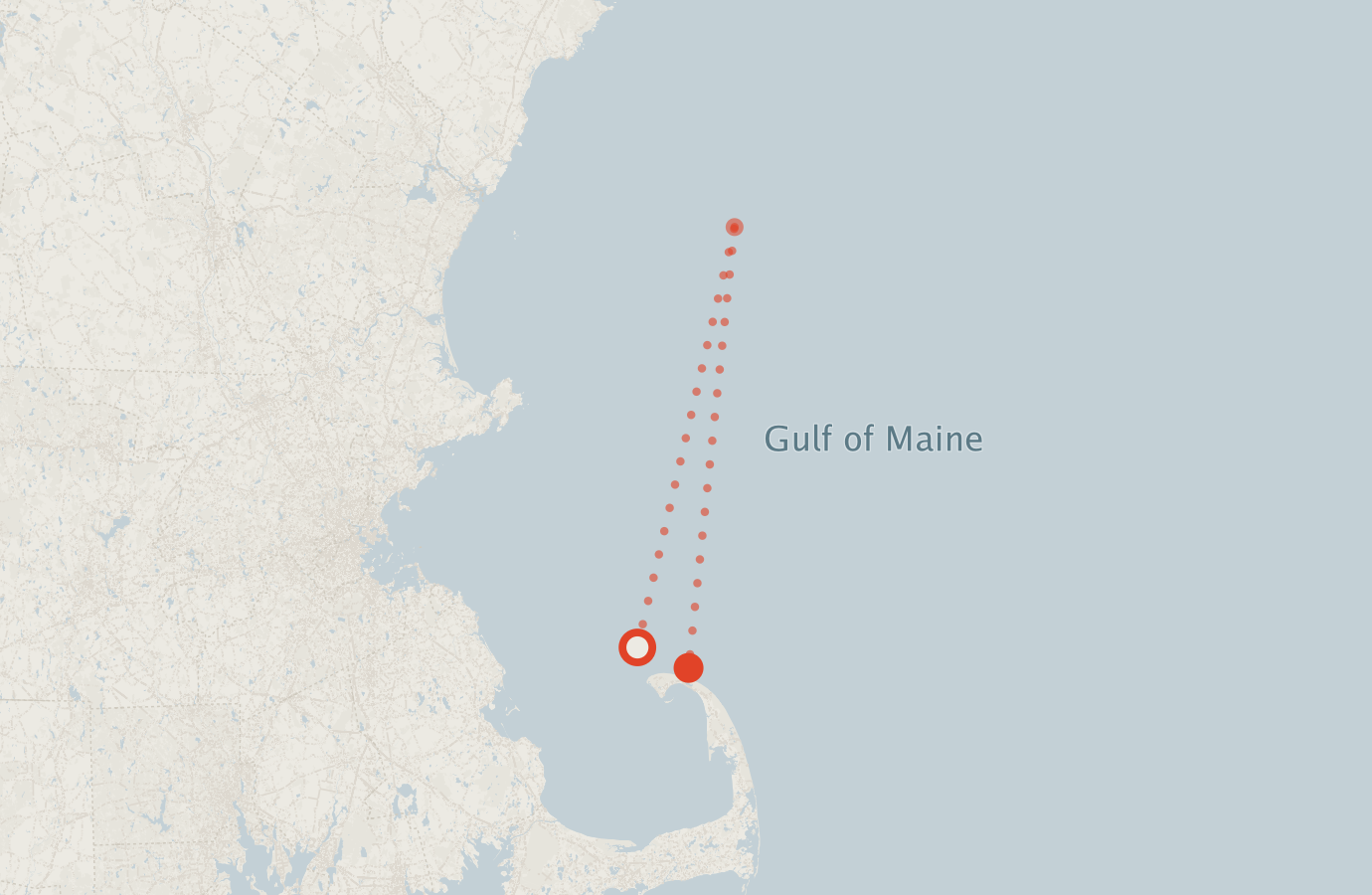 Activity map — real sighting points on an OpenStreetMap basemap