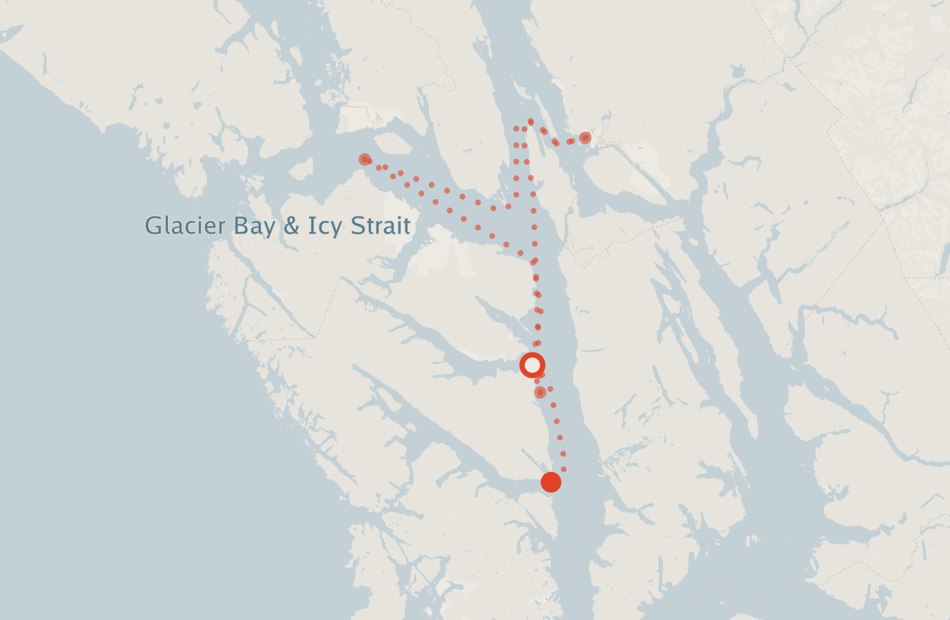 Activity map — real sighting points on an OpenStreetMap basemap
