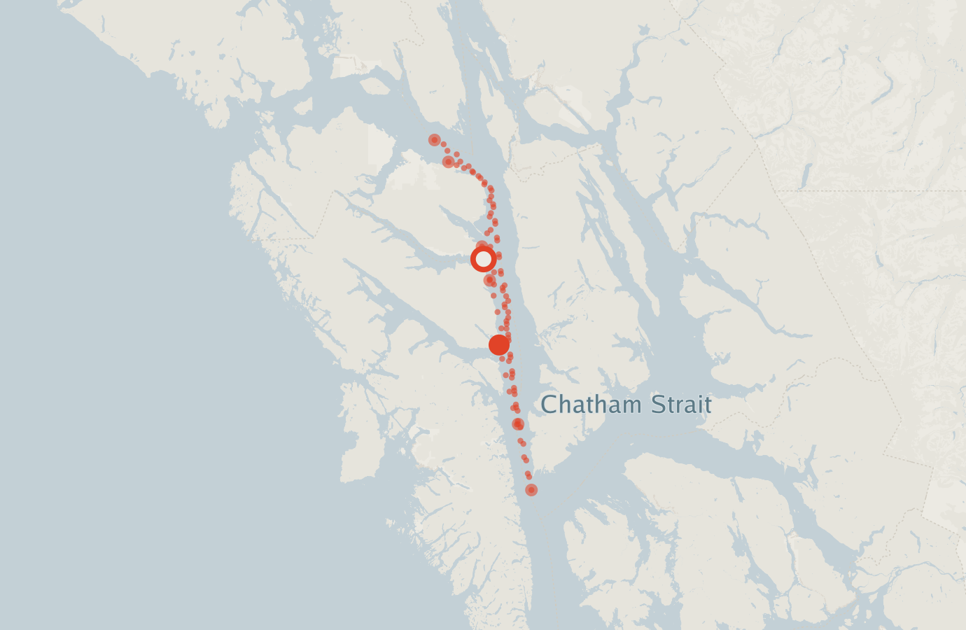 Activity map — real sighting points on an OpenStreetMap basemap
