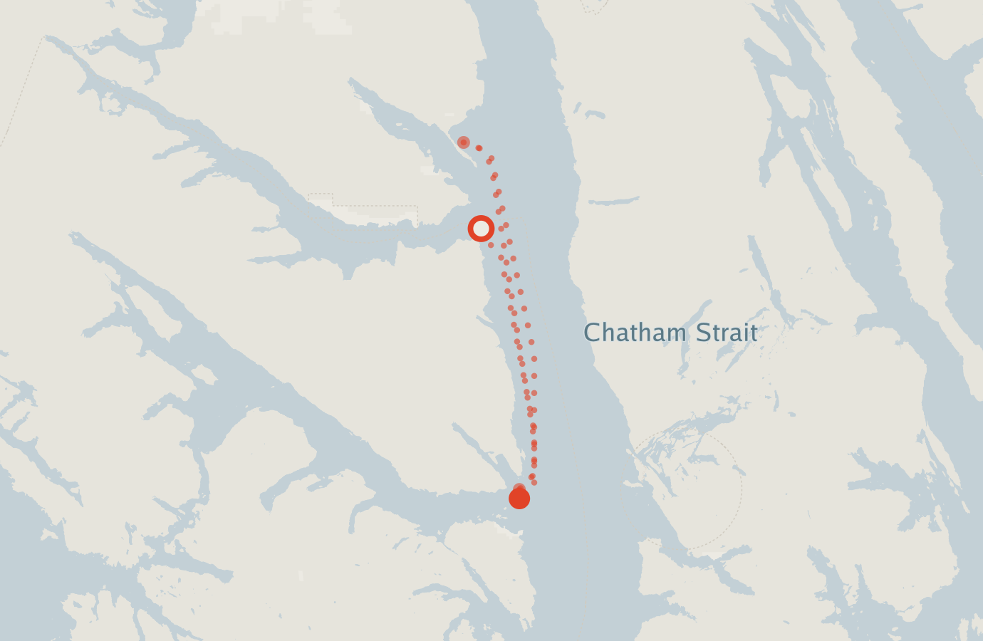 Activity map — real sighting points on an OpenStreetMap basemap