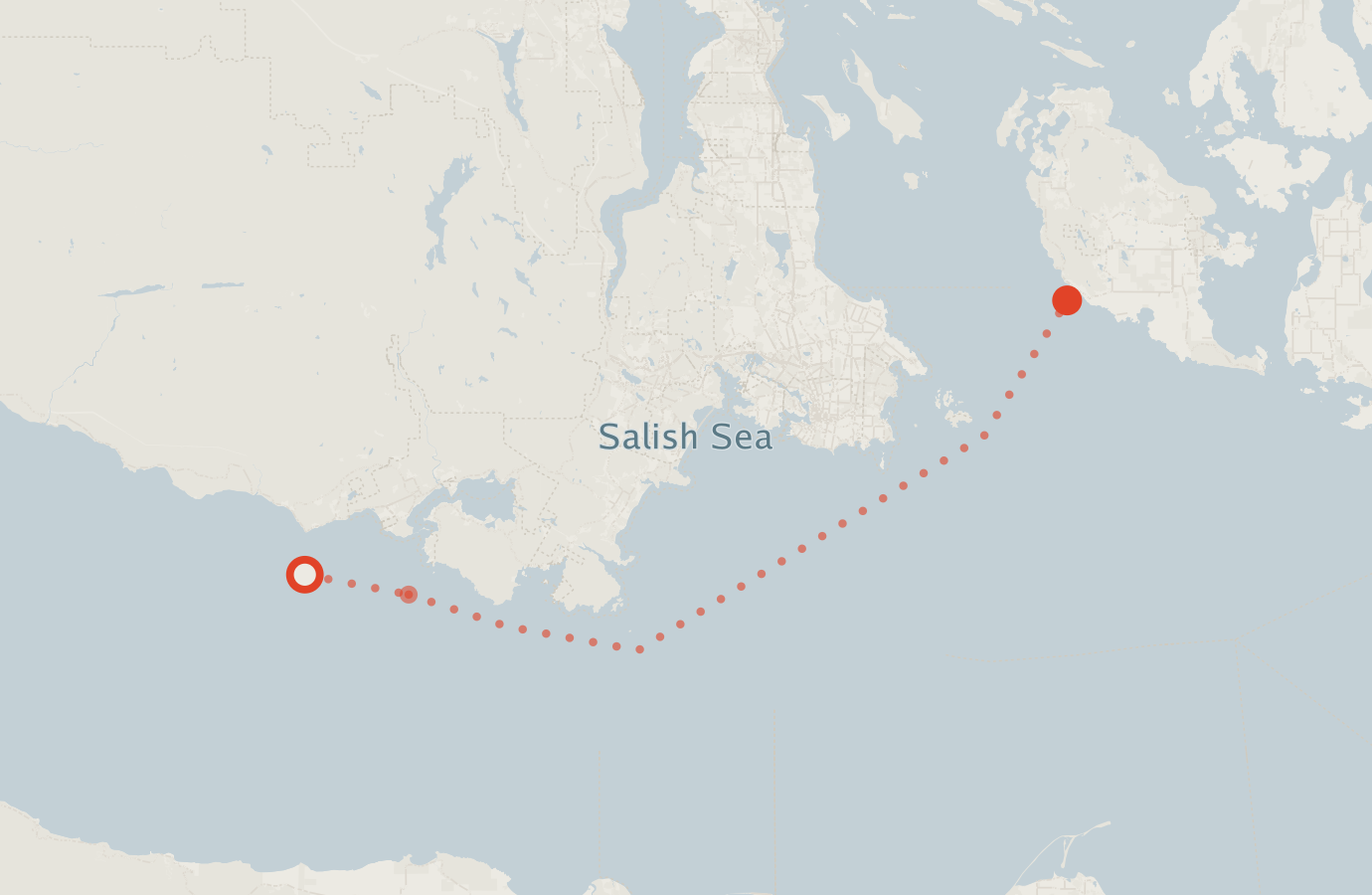 Activity map — real sighting points on an OpenStreetMap basemap