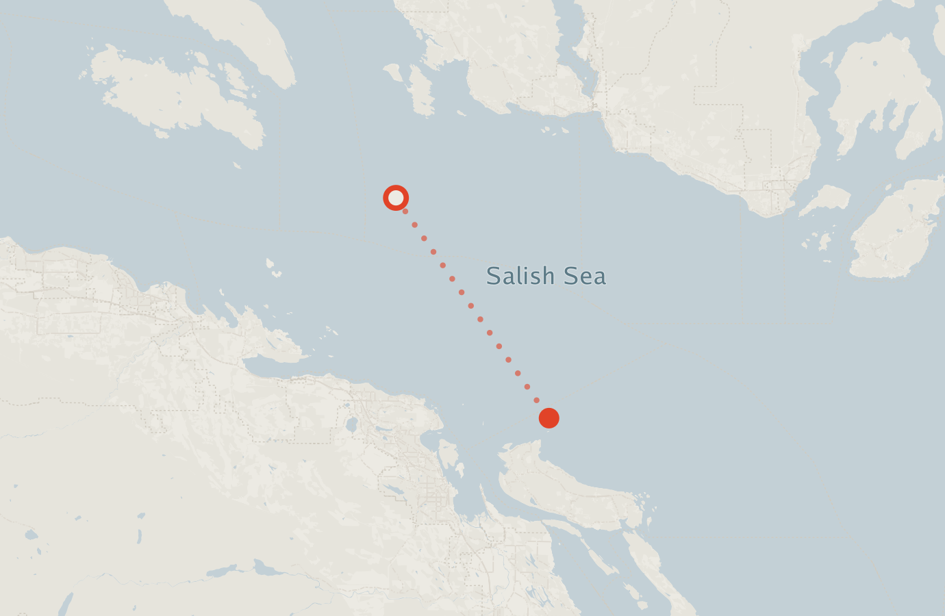 Activity map — real sighting points on an OpenStreetMap basemap