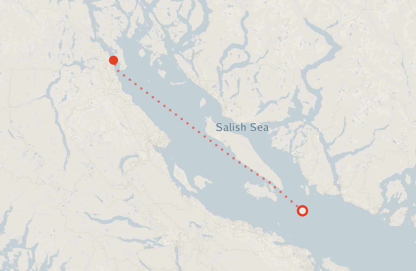 Activity map — real sighting points on an OpenStreetMap basemap