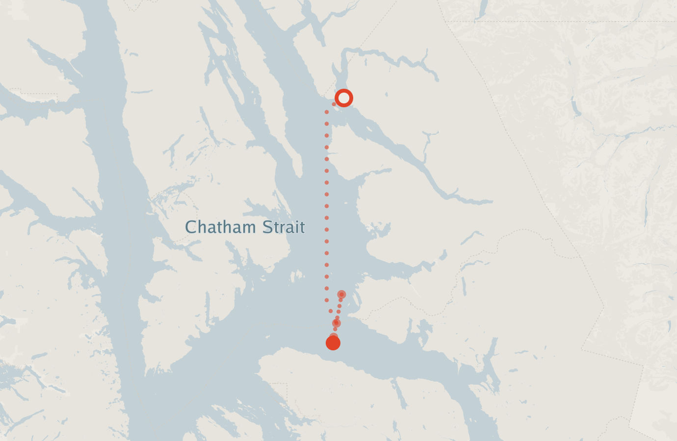 Activity map — real sighting points on an OpenStreetMap basemap