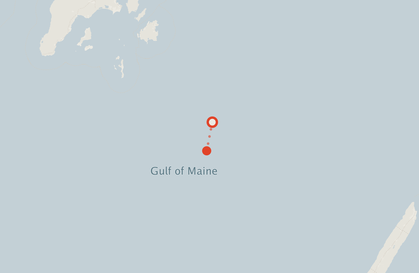 Activity map — real sighting points on an OpenStreetMap basemap
