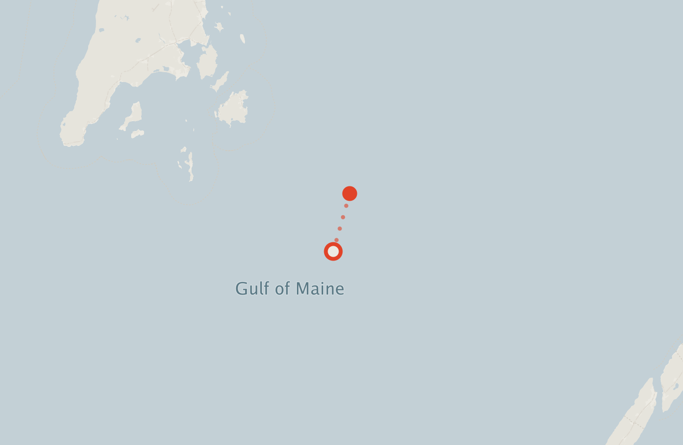 Activity map — real sighting points on an OpenStreetMap basemap