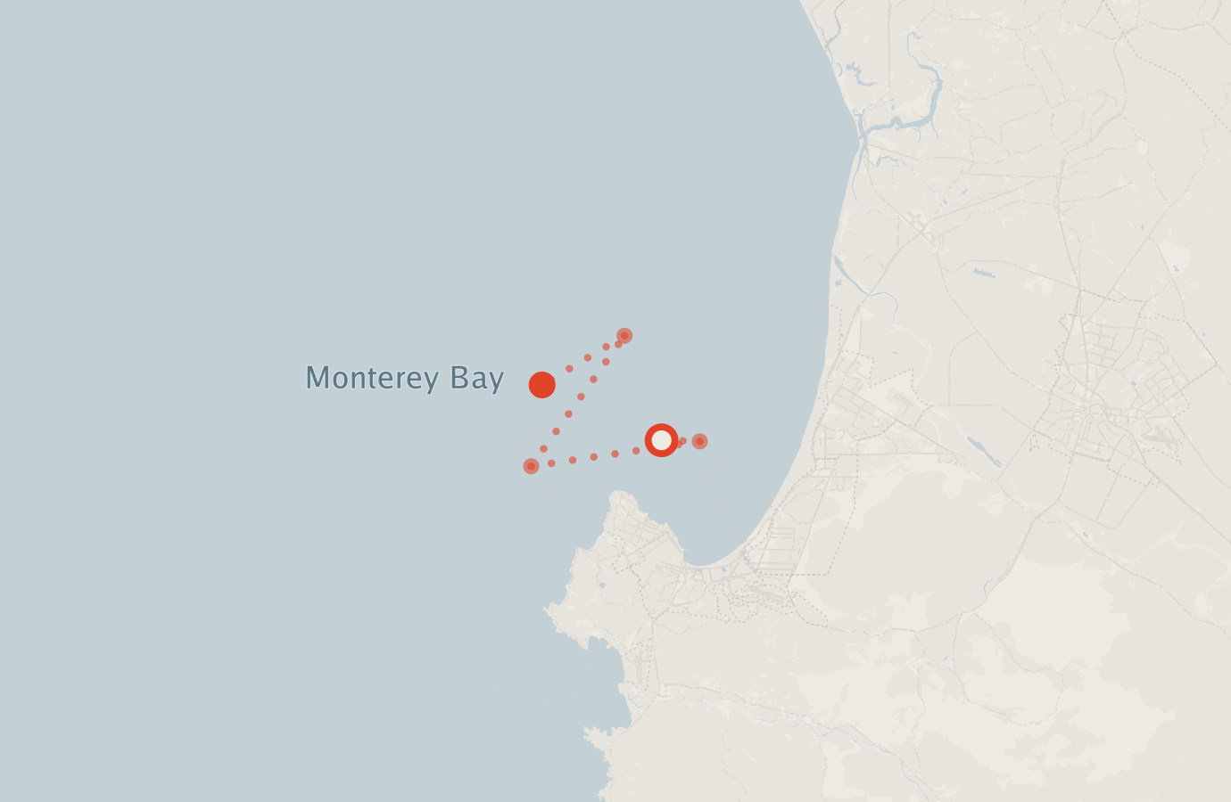 Activity map — real sighting points on an OpenStreetMap basemap