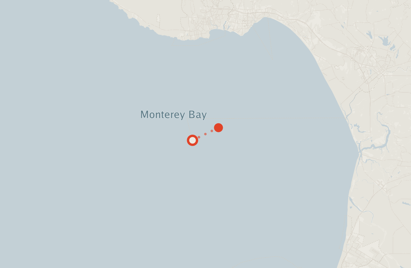 Activity map — real sighting points on an OpenStreetMap basemap