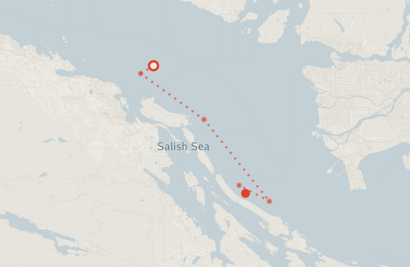 Activity map — real sighting points on an OpenStreetMap basemap