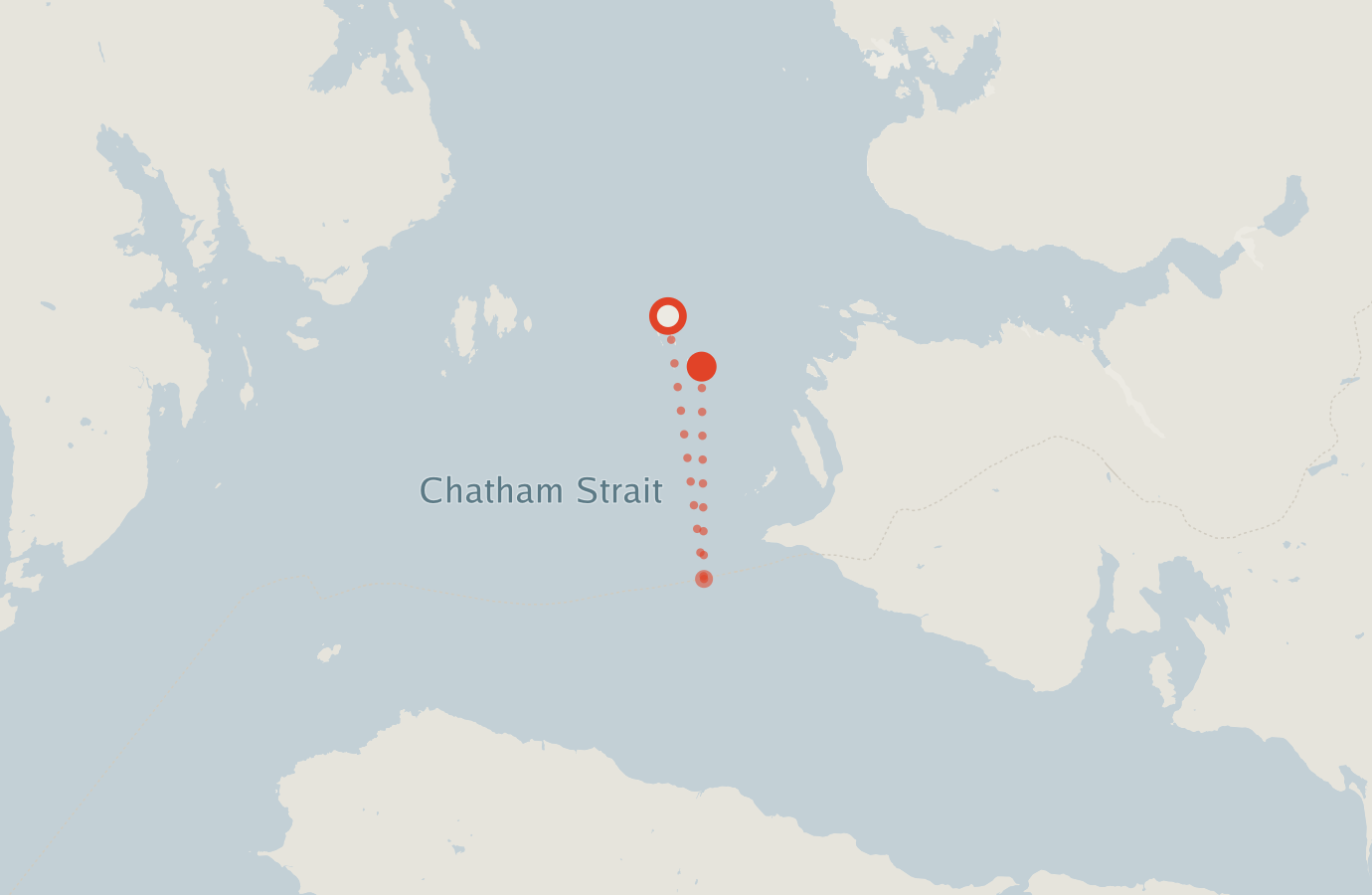 Activity map — real sighting points on an OpenStreetMap basemap