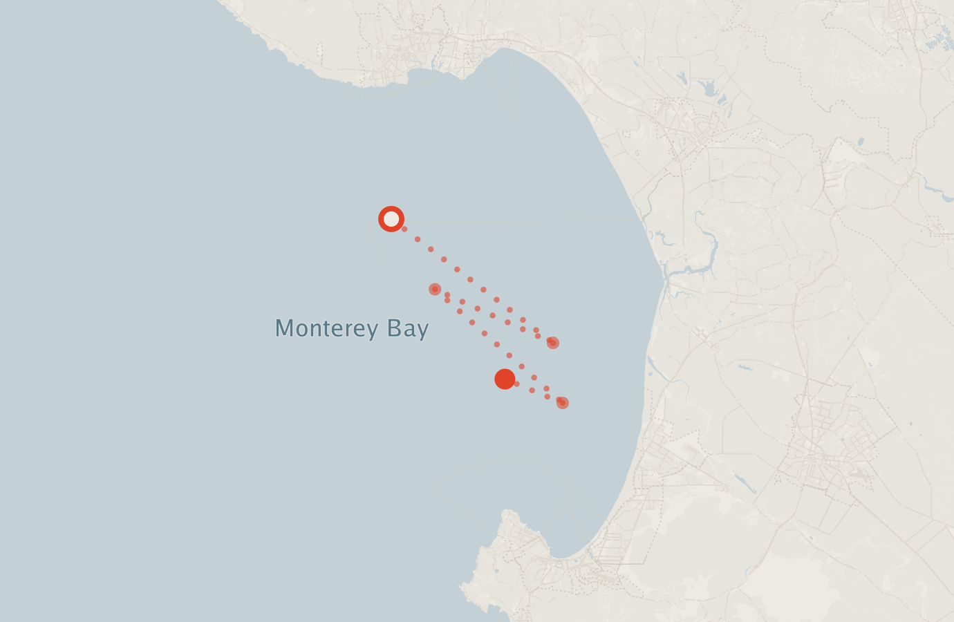 Activity map — real sighting points on an OpenStreetMap basemap