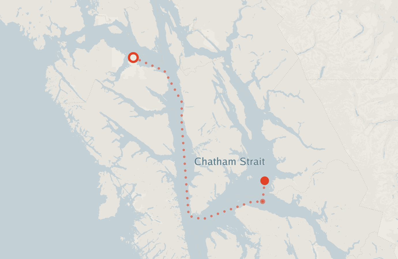 Activity map — real sighting points on an OpenStreetMap basemap