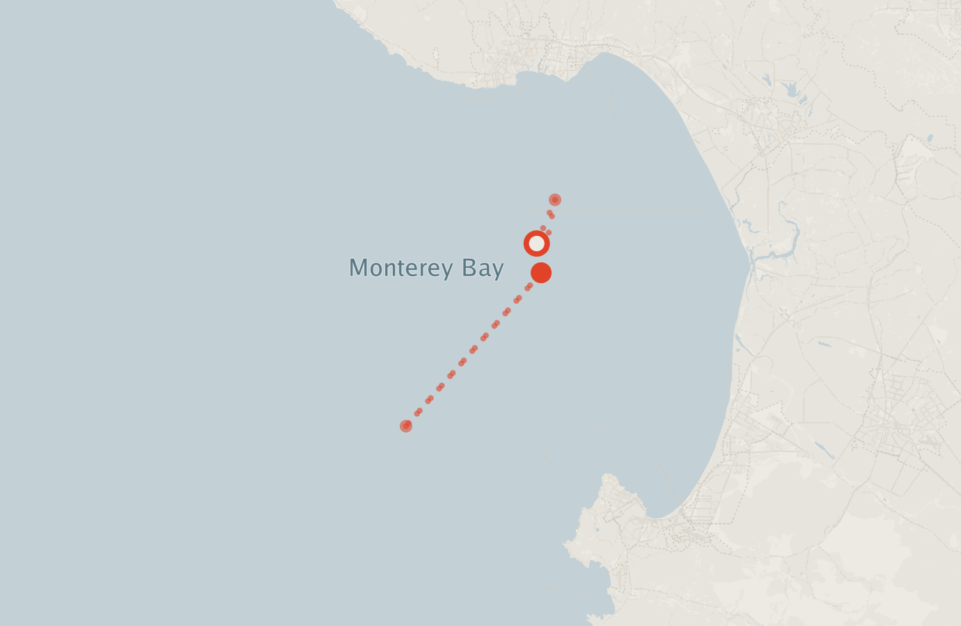 Activity map — real sighting points on an OpenStreetMap basemap