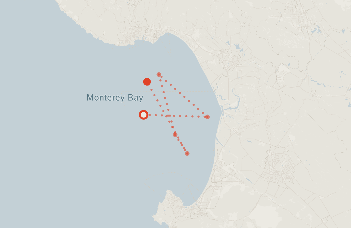 Activity map — real sighting points on an OpenStreetMap basemap