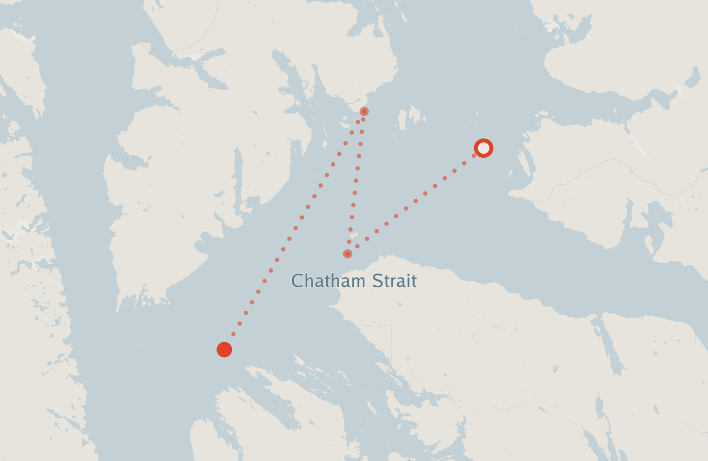 Activity map — real sighting points on an OpenStreetMap basemap