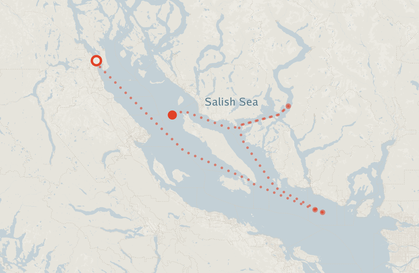 Activity map — real sighting points on an OpenStreetMap basemap