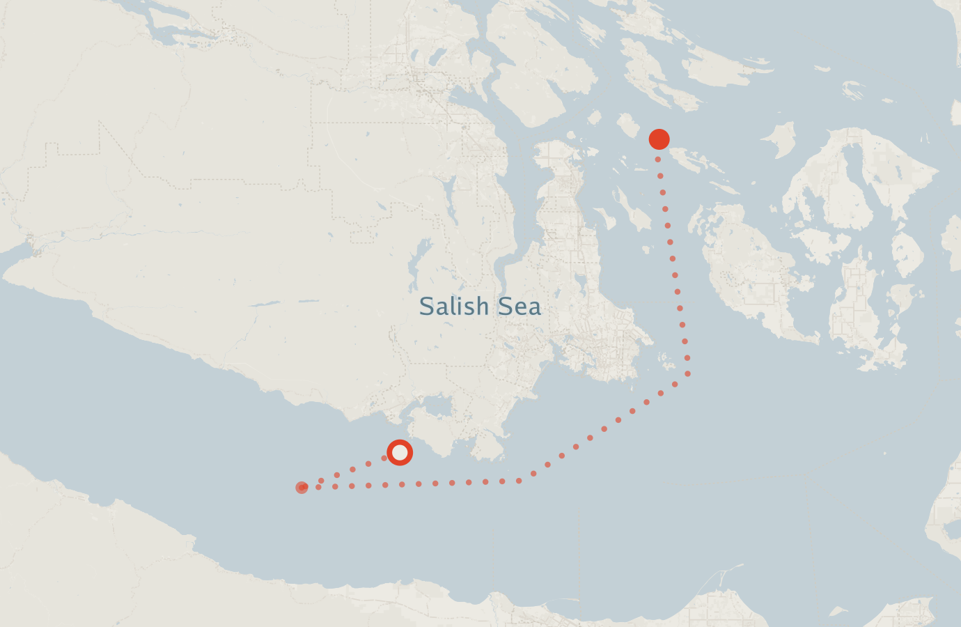Activity map — real sighting points on an OpenStreetMap basemap