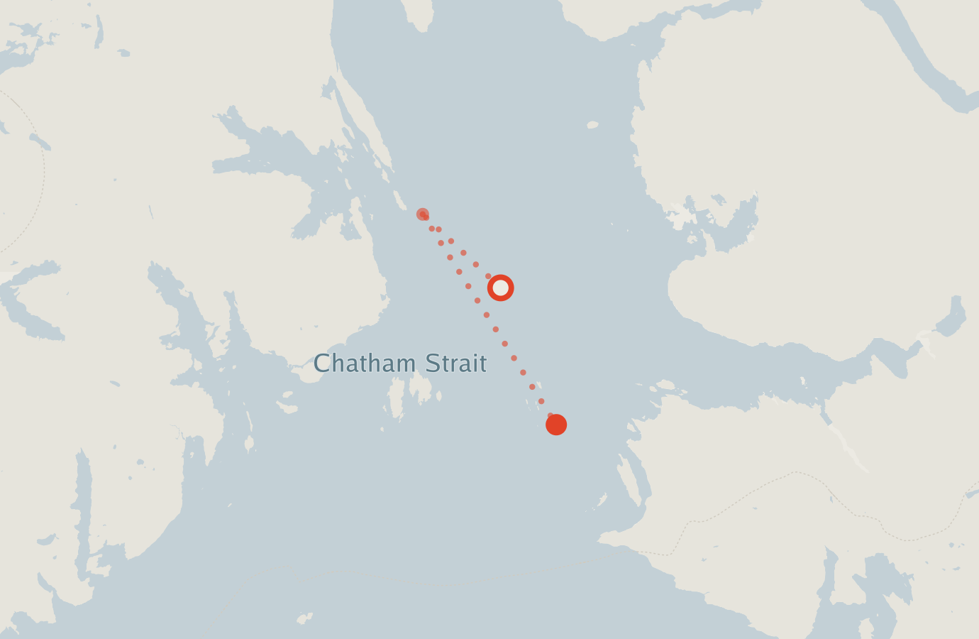 Activity map — real sighting points on an OpenStreetMap basemap