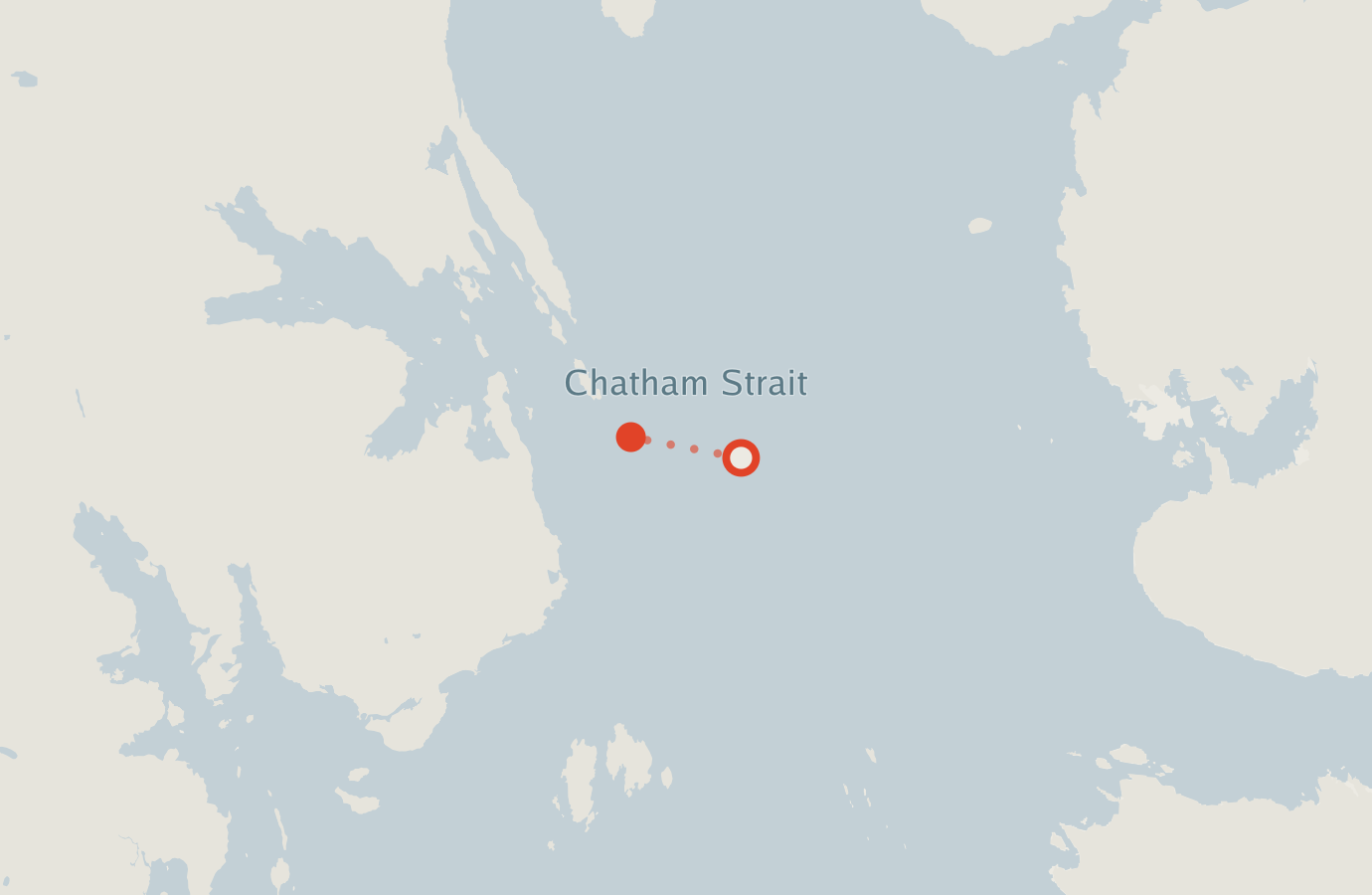 Activity map — real sighting points on an OpenStreetMap basemap