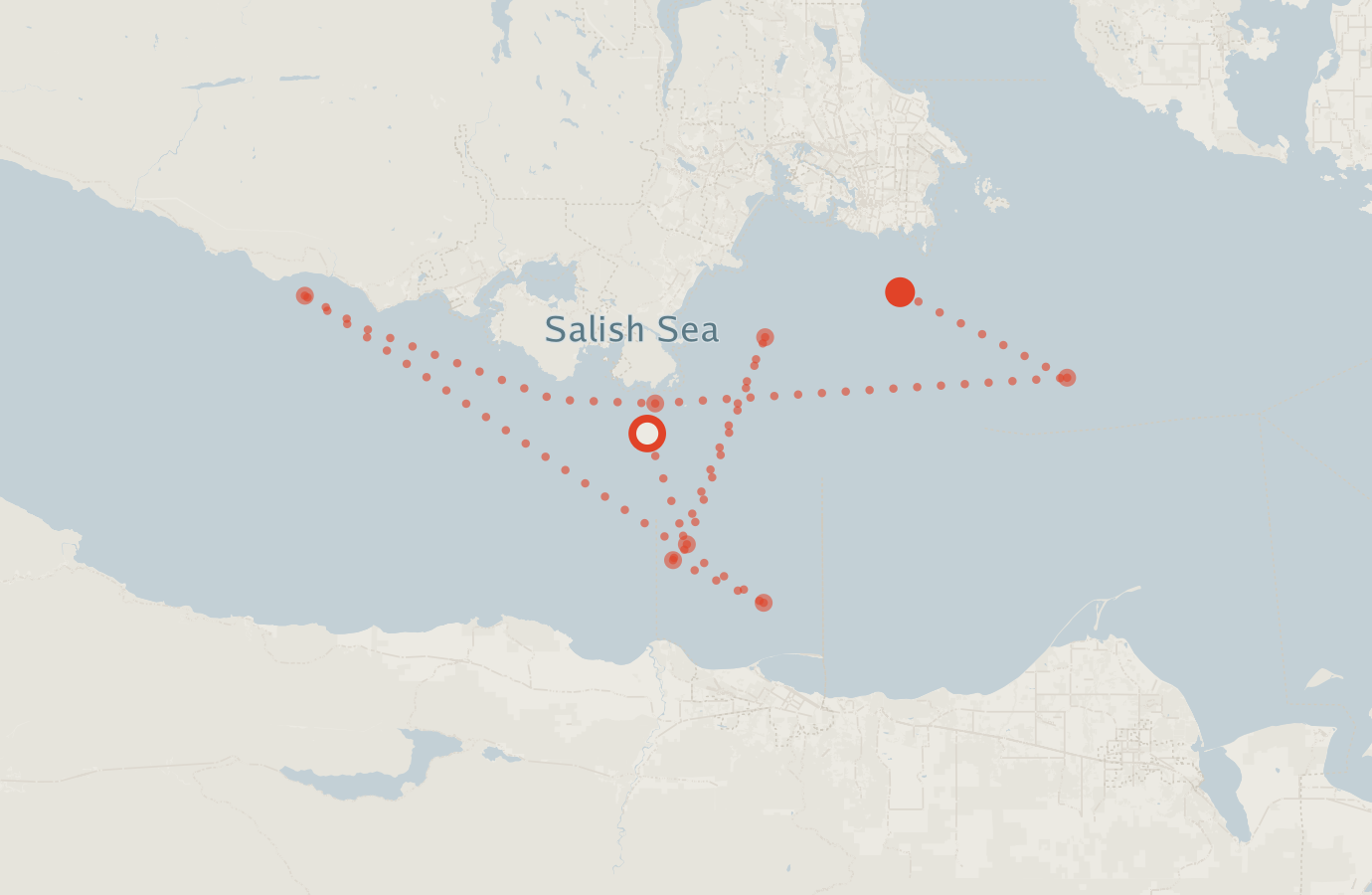 Activity map — real sighting points on an OpenStreetMap basemap