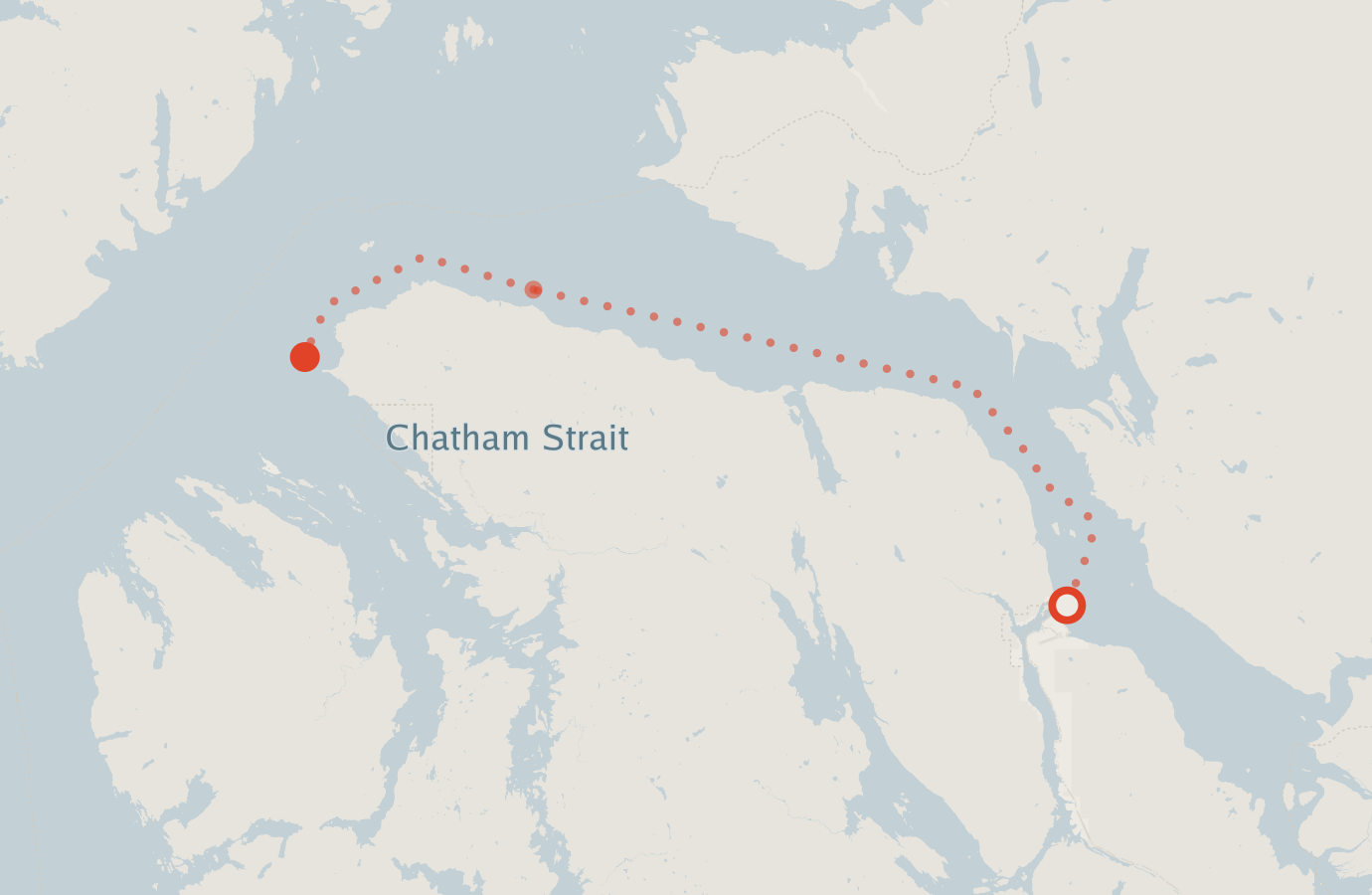 Activity map — real sighting points on an OpenStreetMap basemap