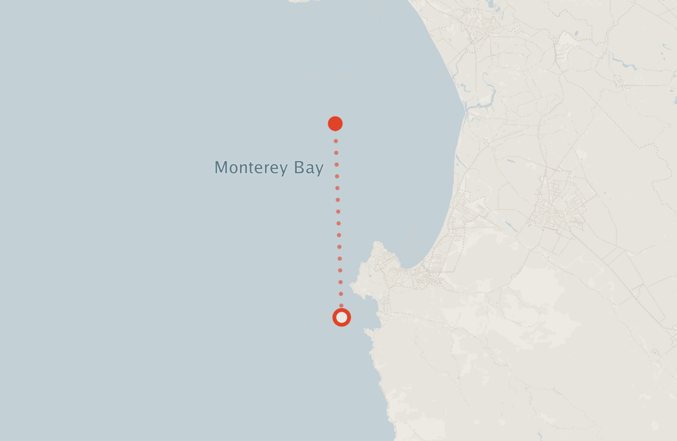 Activity map — real sighting points on an OpenStreetMap basemap