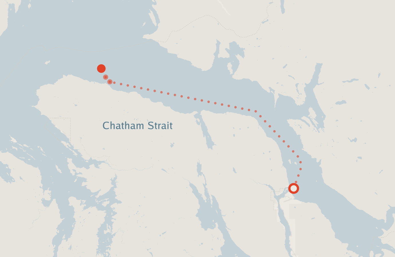 Activity map — real sighting points on an OpenStreetMap basemap