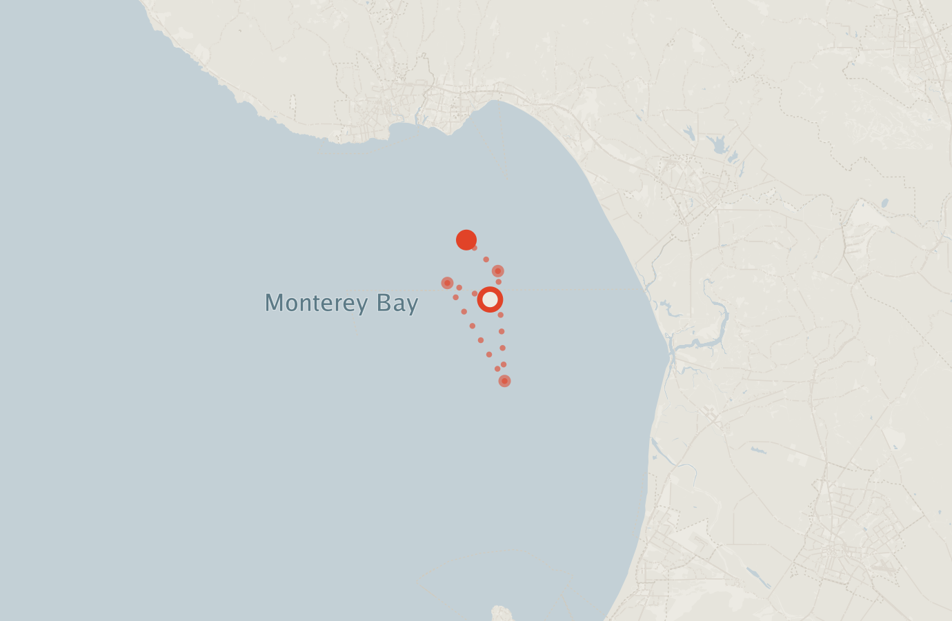 Activity map — real sighting points on an OpenStreetMap basemap