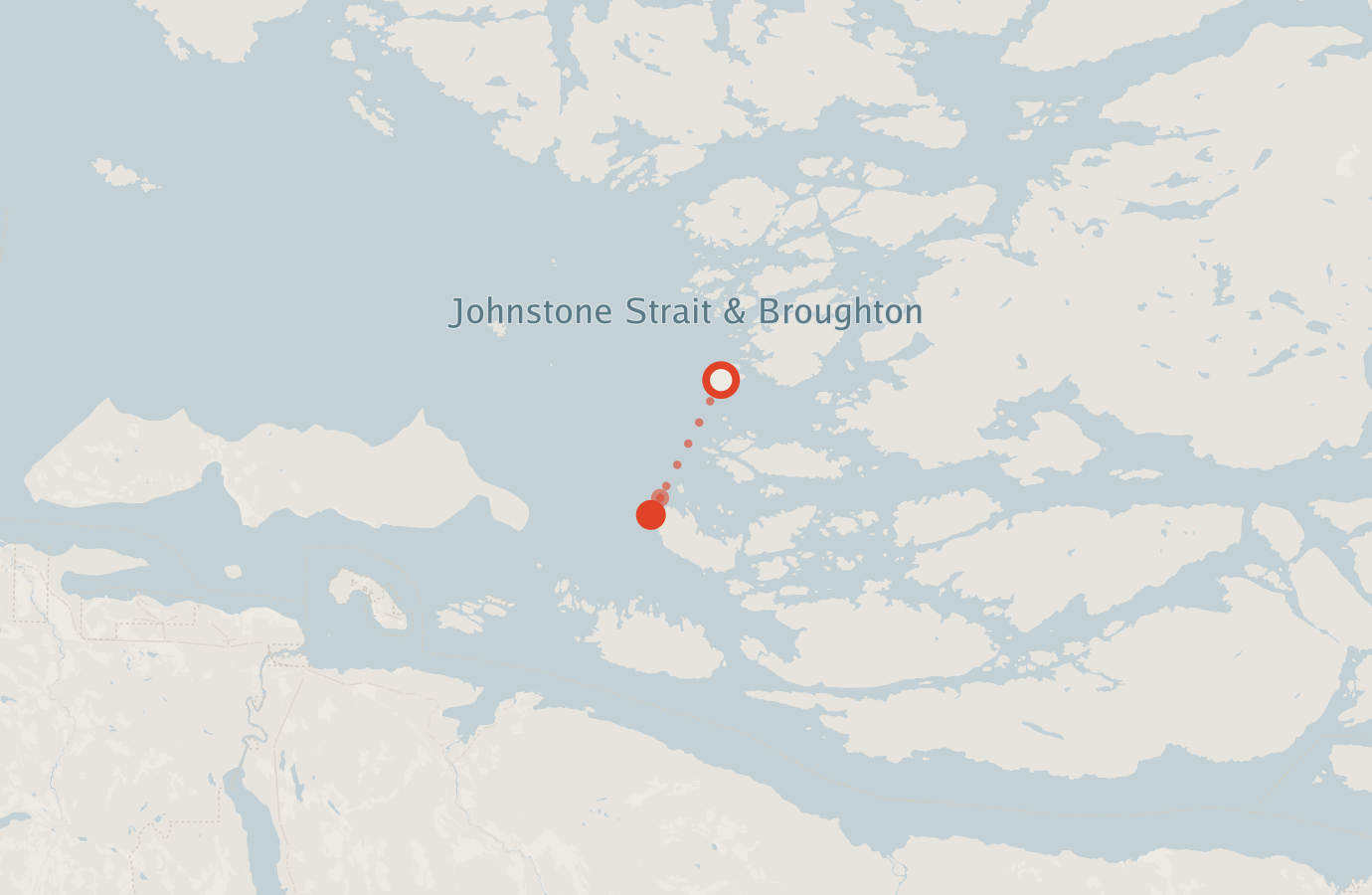 Activity map — real sighting points on an OpenStreetMap basemap