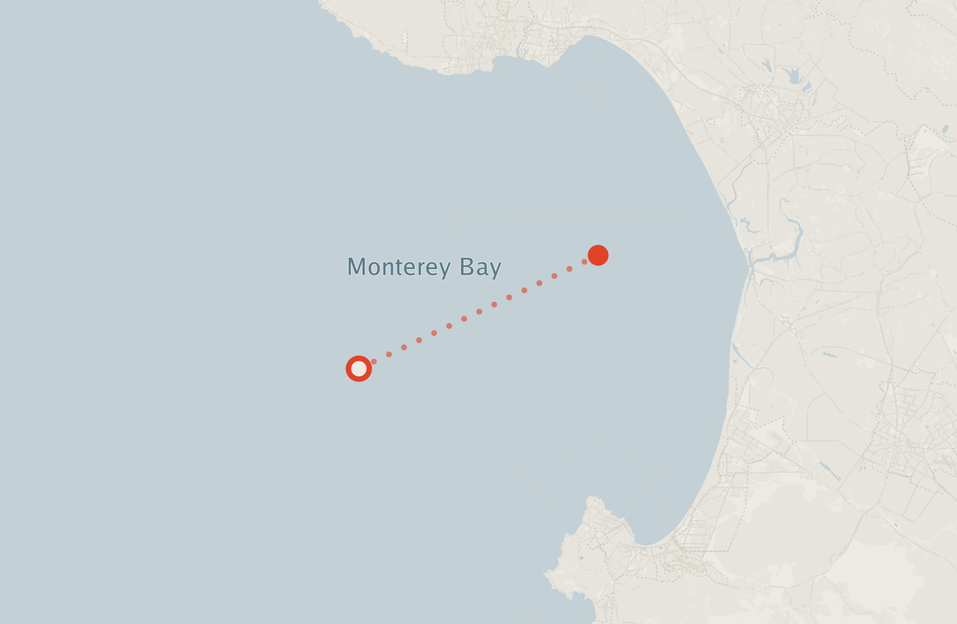 Activity map — real sighting points on an OpenStreetMap basemap
