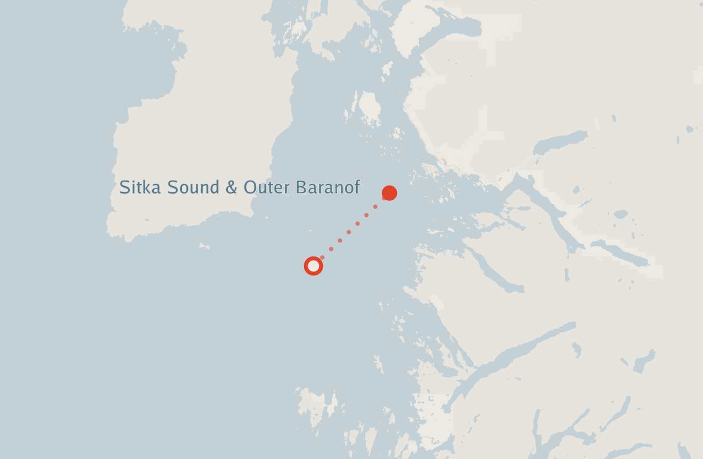 Activity map — real sighting points on an OpenStreetMap basemap
