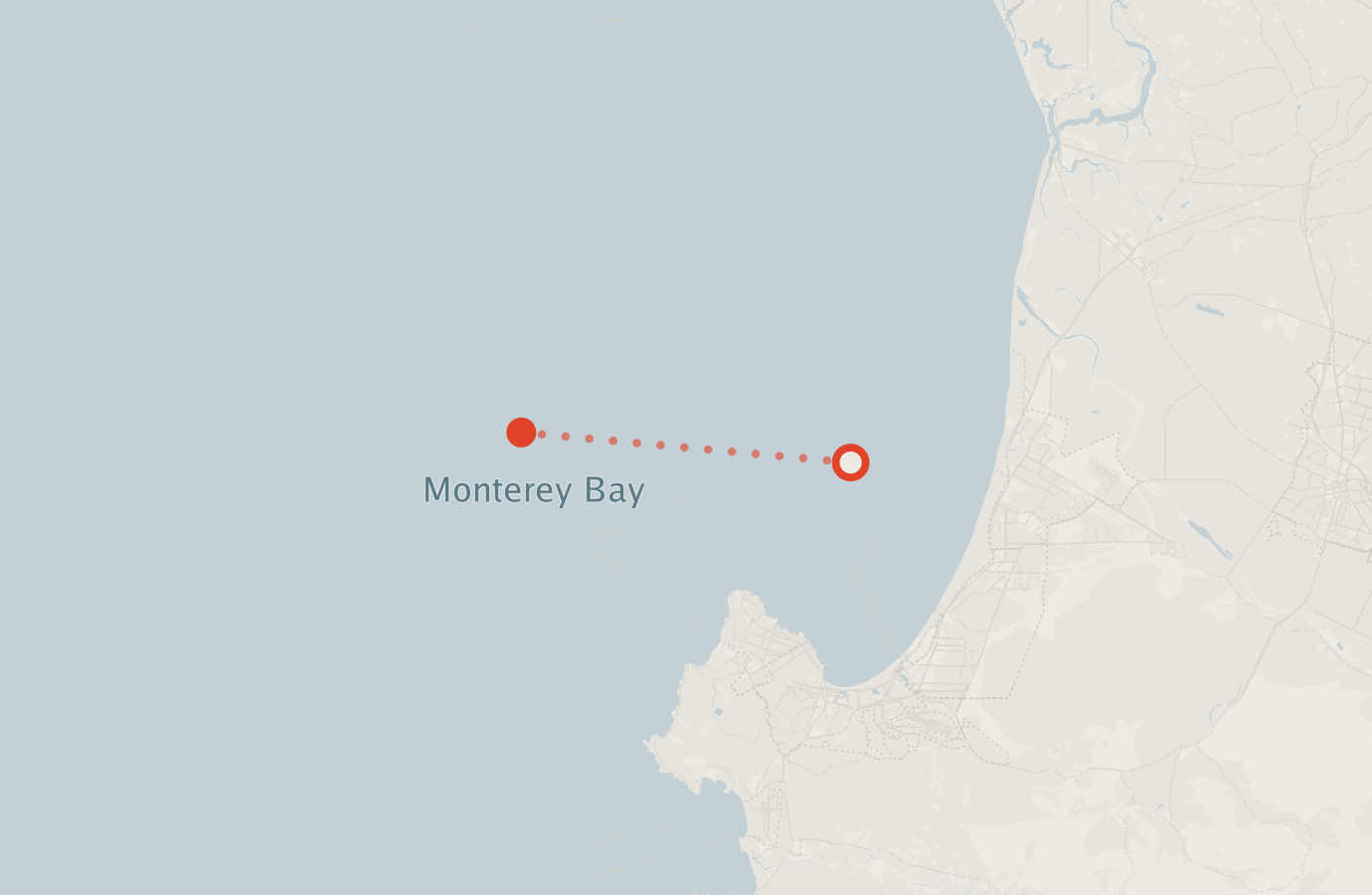 Activity map — real sighting points on an OpenStreetMap basemap