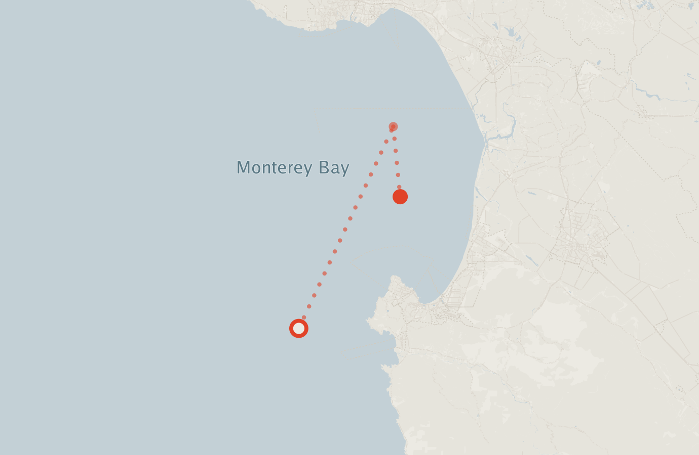 Activity map — real sighting points on an OpenStreetMap basemap