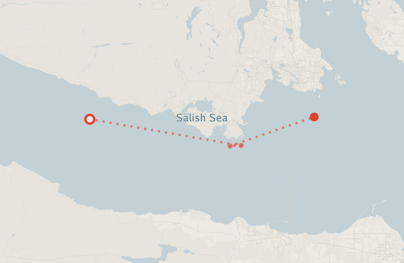 Activity map — real sighting points on an OpenStreetMap basemap
