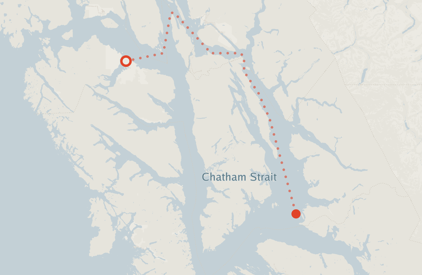 Activity map — real sighting points on an OpenStreetMap basemap
