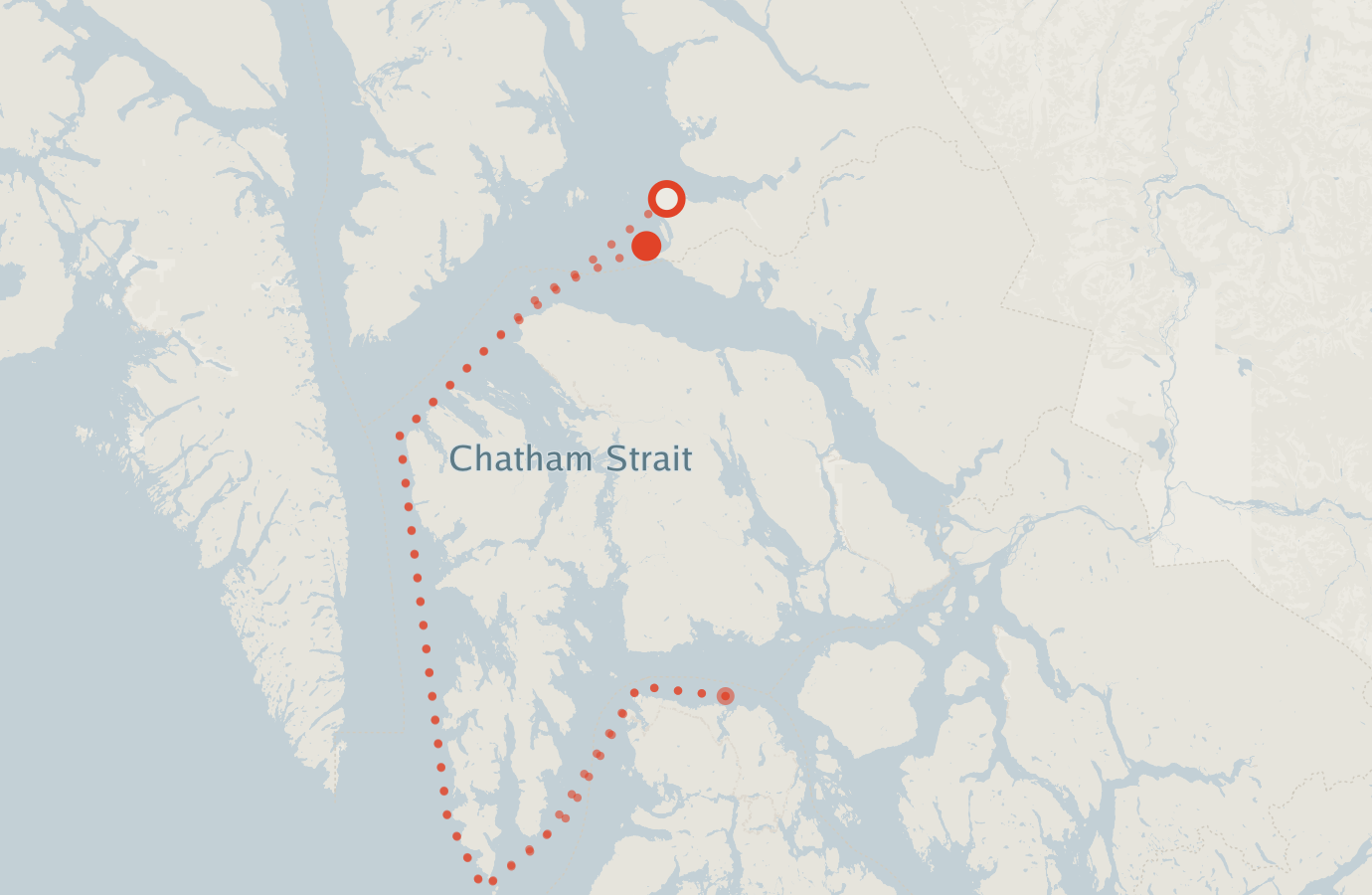 Activity map — real sighting points on an OpenStreetMap basemap
