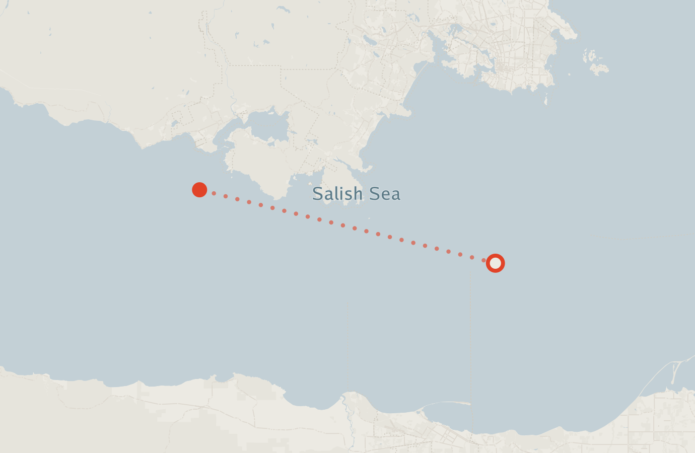 Activity map — real sighting points on an OpenStreetMap basemap