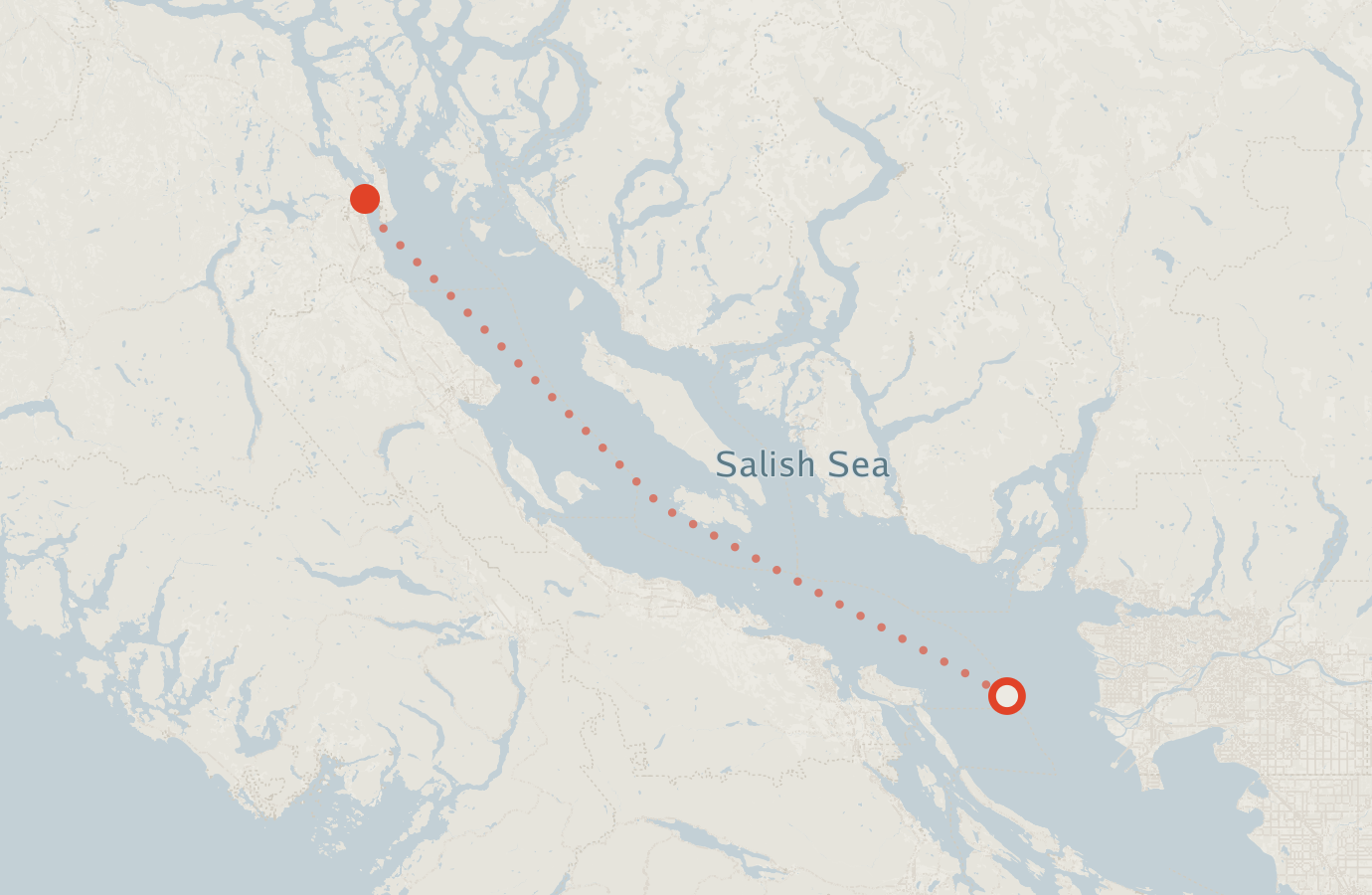 Activity map — real sighting points on an OpenStreetMap basemap