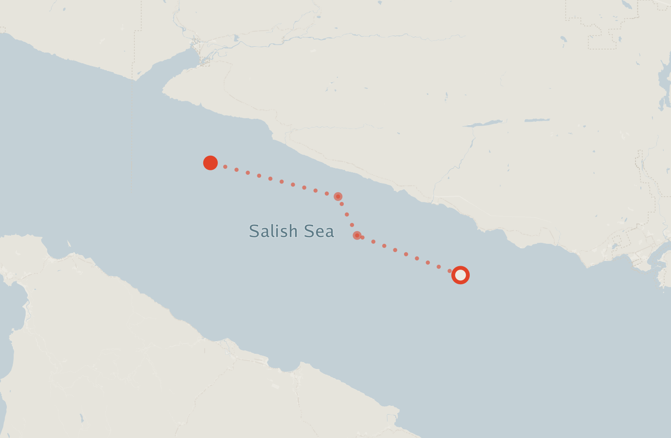 Activity map — real sighting points on an OpenStreetMap basemap