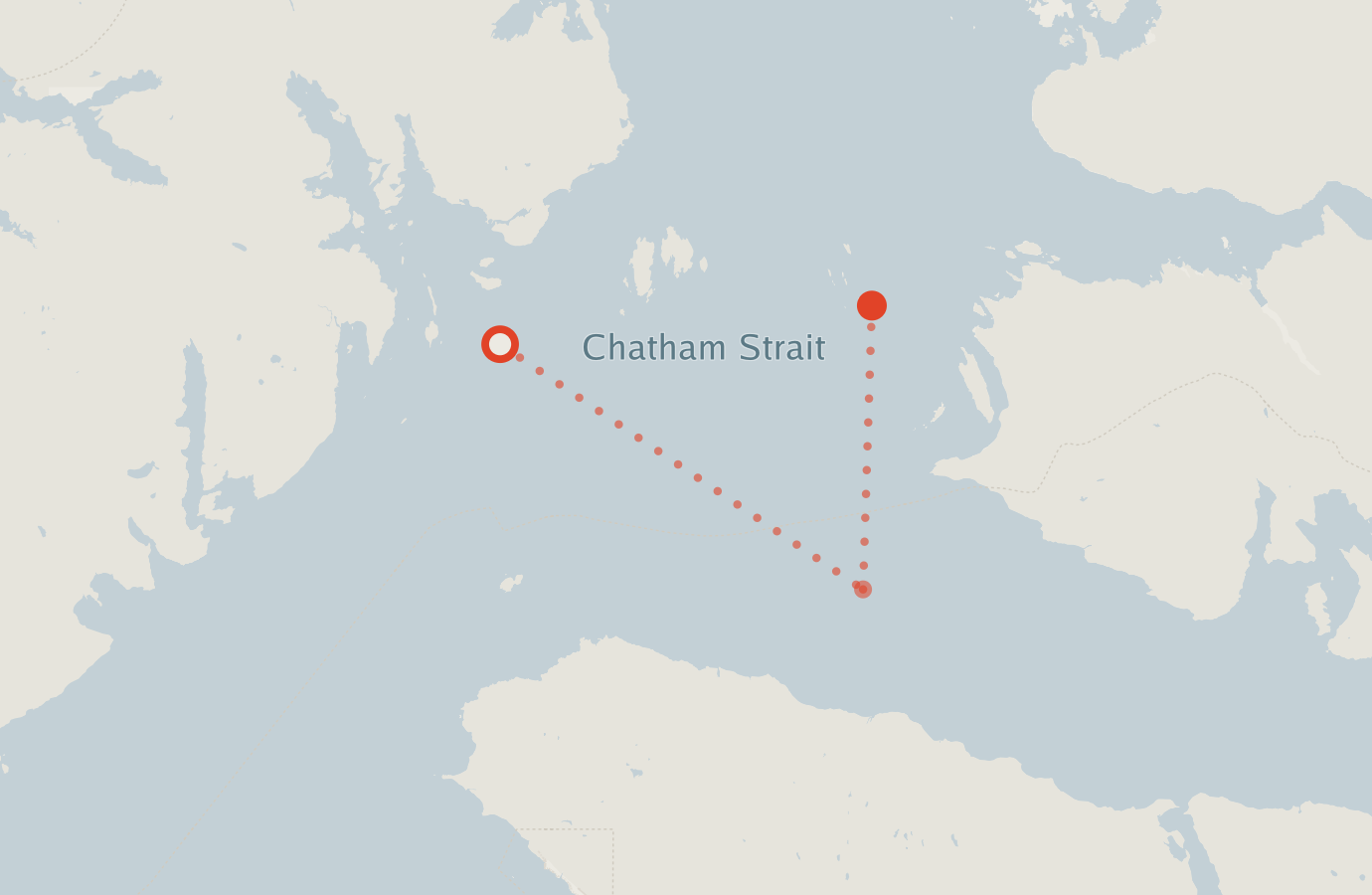Activity map — real sighting points on an OpenStreetMap basemap