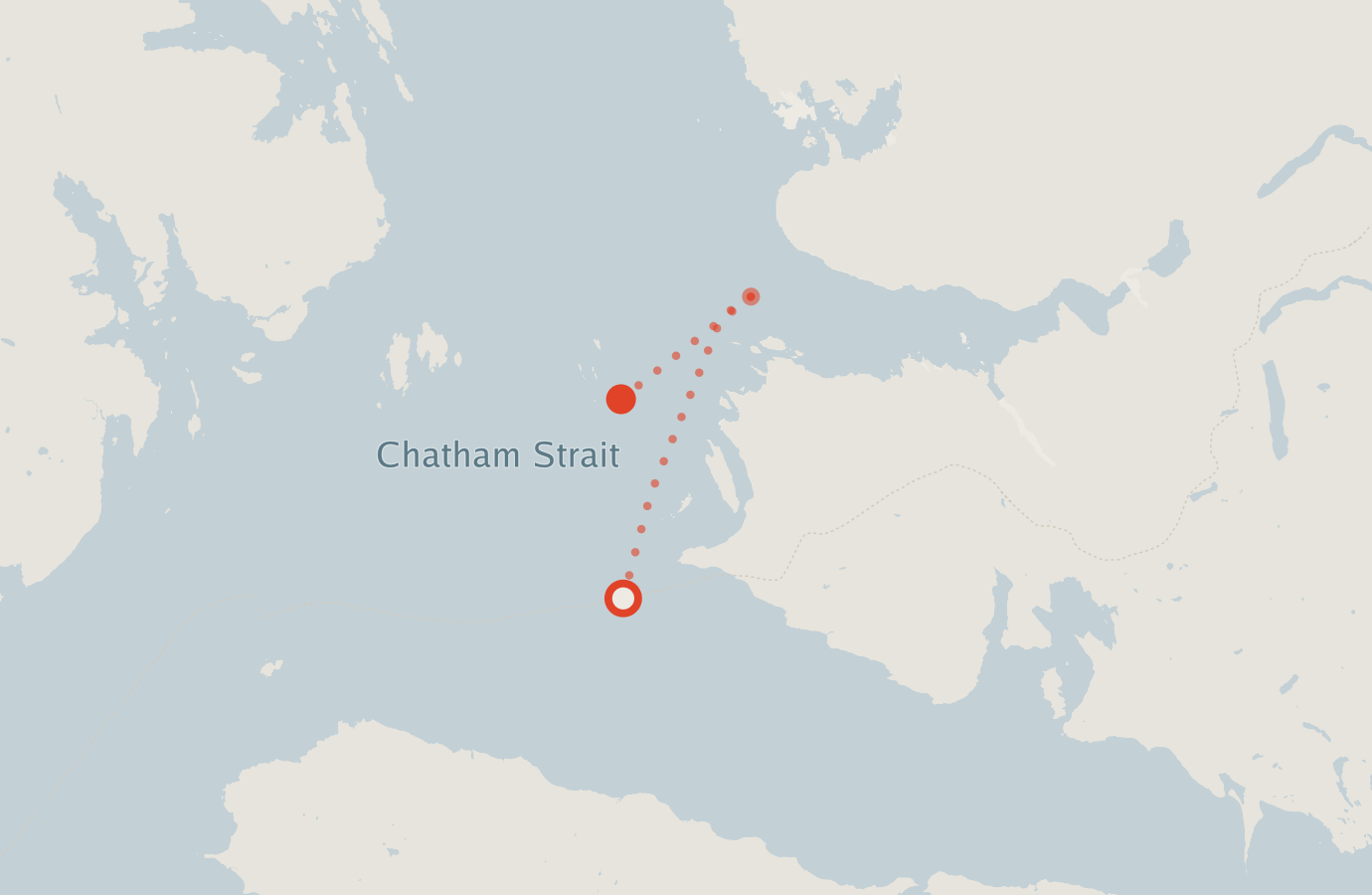 Activity map — real sighting points on an OpenStreetMap basemap