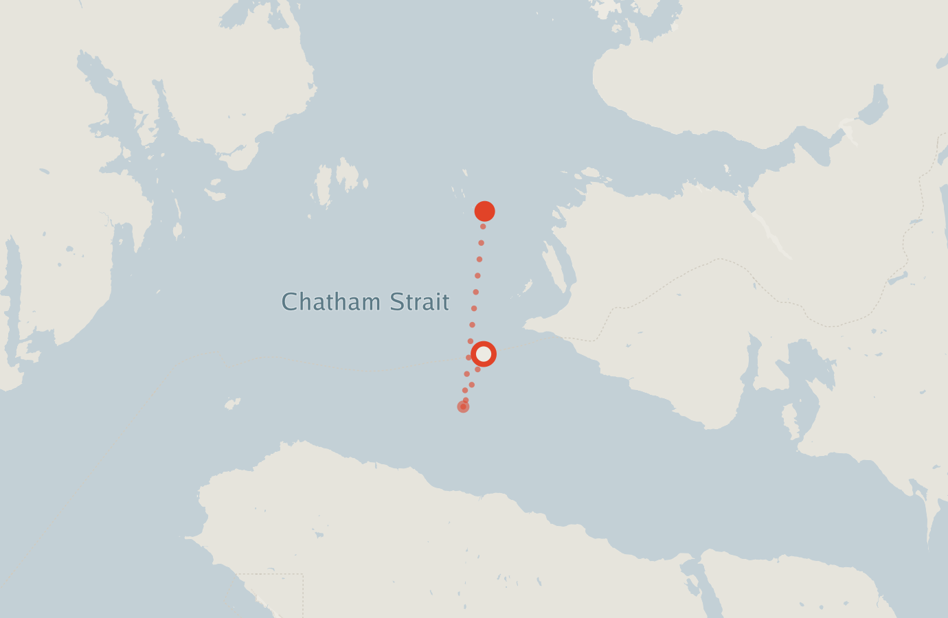 Activity map — real sighting points on an OpenStreetMap basemap