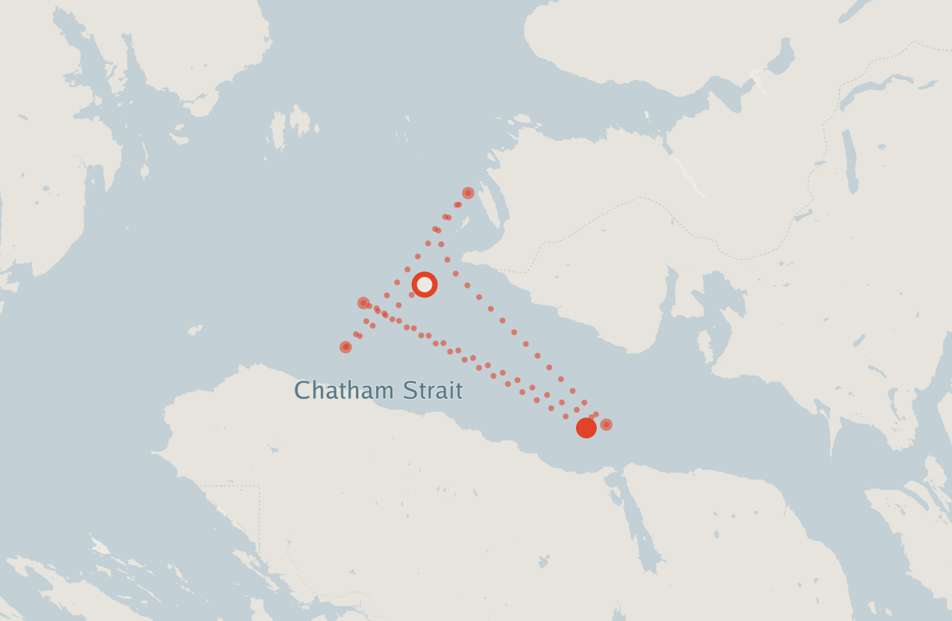 Activity map — real sighting points on an OpenStreetMap basemap