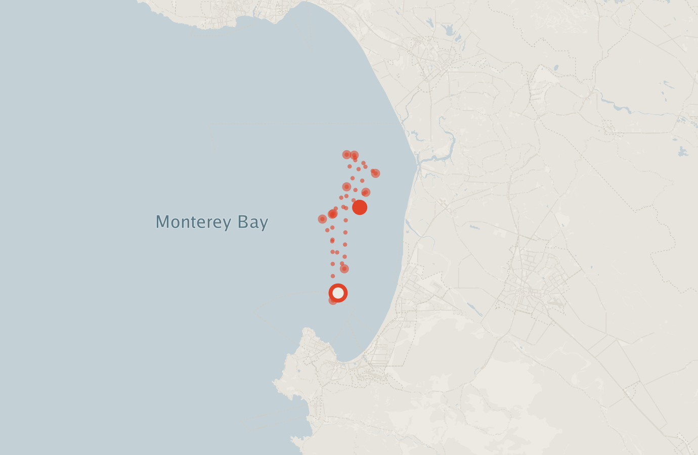 Activity map — real sighting points on an OpenStreetMap basemap