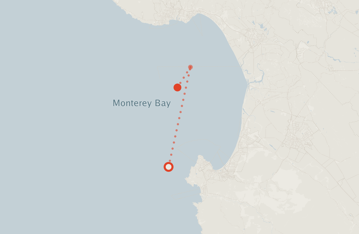 Activity map — real sighting points on an OpenStreetMap basemap